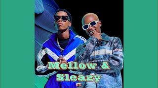 Mellow amp Sleazy Scotts Maphuma  Sekfuneka Amaningi [upl. by Esiuolyram]