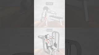 Shoulder Workouts Home vs Gym  Tracking Progress with Lyfta App [upl. by Hserus97]