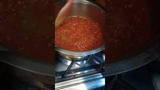 basic recipe of red sauce pastarecipepastashortskidsviews [upl. by Bianca]