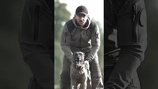 k9 dog tactical trending trainingdogs dogsoftiktok dogsofyoutube dogstraining [upl. by Nivel]