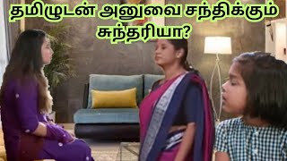 அனு 💥💫 Sundari Promo review  21 Nov 2024  sundari upcoming  சுந்தரி  sundari serial today [upl. by Ecirtel322]