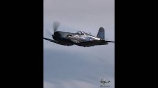 Chance Vought F4U Corsair Lowpass vintageaircraft avgeek fighter aviation avgeek [upl. by Eeralav]