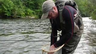 Pêche à la Mouche en Cévennes  Le Tarnon [upl. by Isaacson]