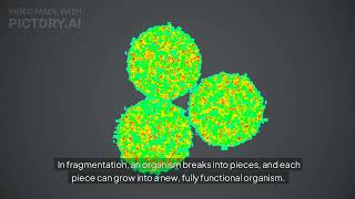 AsexualReproductionReproductionTypesBiologyTopics [upl. by Lefton]