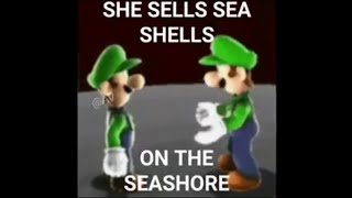 Sally sold seashells on a seashore rap [upl. by Aneekal]