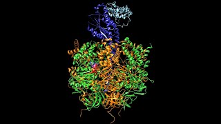 Biochimica 4 Ciclo di Krebs e fosforilazione ossidativa [upl. by Worsham]