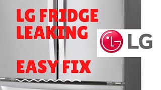 ✨ LG REFRIGERATOR LEAK  EASY DIY FIX ✨ [upl. by Schapira]