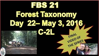 FBS 21  Forest Taxonomy Review Materials Day 22  May 3 2016 VAN HALEN  TOP OF THE WORLD [upl. by Tressa]