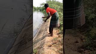 Amazing traditional method handline fishing by longest river [upl. by Marga]