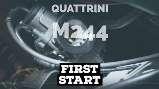 vespa QUATTRINI M244 very FIRST start  FMPguides  Solid PASSion [upl. by Alair641]