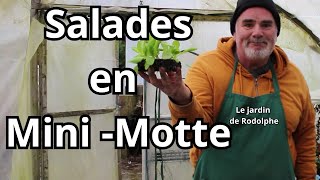 Plantez avec succès vos salades en minimottes [upl. by Kilroy]