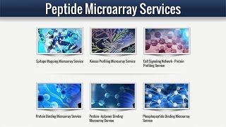 Peptide Microarray Service [upl. by Sydalg]