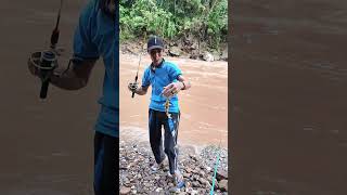 Streik bocil fishing fish pescadore pesca fishingpesca fishingworld fishingUSAshort [upl. by Adiaz393]