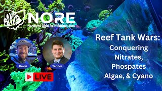 Reef Tank Wars Conquering Nitrates Phosphates Algae and Cyano [upl. by Inaliel]