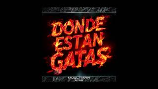 🎵 Alex GargolasDaddy YankeeNicky Jam 🎉 Donde Estan las Gatas Moglyman Hype remixes [upl. by Attiuqram]