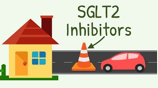 SGLT2 Inhibitors Mechanism of Action [upl. by Bonnette]