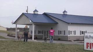 Morton Buildings Tour  All Dogs Canine Care Kennel [upl. by Hteboj]