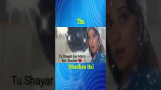 Tu Shayar Hai Main Teri Shayari  90s Jhankar  Saajan 1991  Alka Yagnik Madhuri Dixit [upl. by Aennaej423]