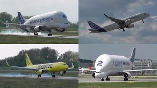 Hamburg Finkenwerder Airport ✈ Plane Spotting Compilation [upl. by Scevor]