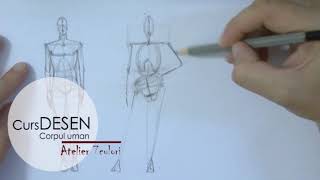 Curs DESEN – corpul uman Anatomie artistica [upl. by Etteuqal]