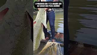 Pirarucu Parte 140  😱 subscribe pescaria pescador shorts youtube peixe recap curiosidades [upl. by Sikorski817]