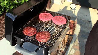 Review Weber GoAnywhere Charcoal Grill [upl. by Laenej403]