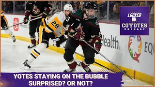 Coyotes Staying in the Bubble Who Saw this Coming [upl. by Herod]