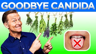 Say Goodbye to Candida The Best Ways to Cure It Permanently [upl. by Aleak]