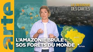 L’Amazonie brûle  sos forêts du monde  Lessentiel du Dessous des Cartes  ARTE [upl. by Dirgni]