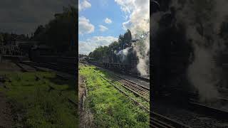 S V R PT 2 No 828 maneuvers at Eridge Station 5 October 2024 [upl. by Gytle]