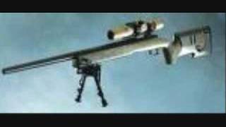 My Top Ten Sniper Rifles [upl. by Kanal]