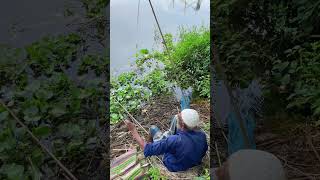 Old man catching fish fishing hookfishing shorts [upl. by Shelby84]