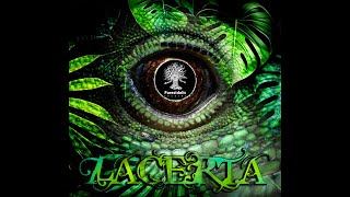 LACERTA  New Set 2024 to release a new EP ALL AROUND [upl. by Ardnu665]