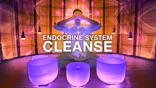 Complete Hormone Balancing Sound Bath  Full Body Endocrine Cleanse for The Major Glands amp Chakras [upl. by Cornwall]