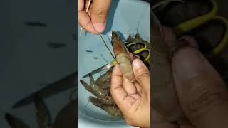 How to Clean Shrimp Easy way food cleaning shrimp [upl. by Hilel391]