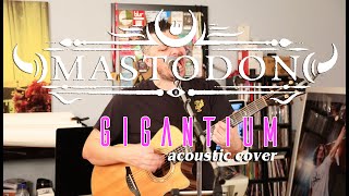 Mastodon  Gigantium Acoustic Cover [upl. by Kalk443]