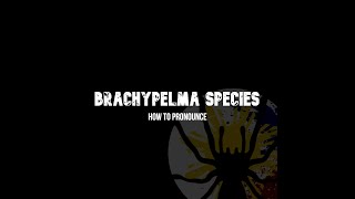 How to Pronounce Brachypelma Boehmei [upl. by Carn109]