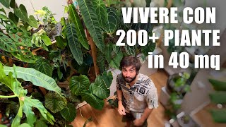 VIVERE CON 200 PIANTE in 40 mq  PLANT TOUR [upl. by Burger160]