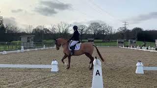 Sillan Clementine PetPlan Winter Area Festival BD Novice No23 Parwood Equestrian Centre 270124 [upl. by Lyred56]