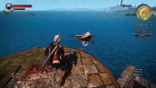 The Witcher 3 Wild Hunt20241114185654 [upl. by Eineeuq]