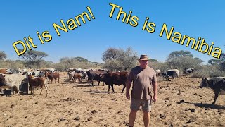 Oppie Plaas  Wat nou Namibia 2024 The Farm 2 [upl. by Haldas514]