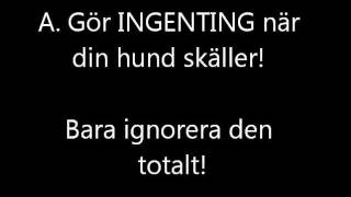 Hundträning På Det Bekväma Sättet Sluta Skälla [upl. by Anwahsat]