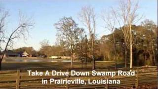 Greater Baton Rouge Neighborhoods Driving Tour of Prairieville Louisiana Swamp Road [upl. by Eenaej930]