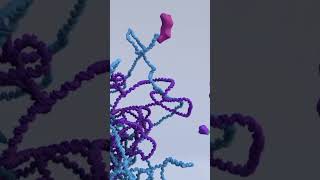 Are mutations good or bad genetics animation geneticdiversity facts biology mutation [upl. by Kilam]