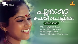 Poonkatte Poyi Chollamo Video Song  Shibu Chakravarthy  Raghu Kumar  KS Chithra  Unni Menon [upl. by Ehtnax286]