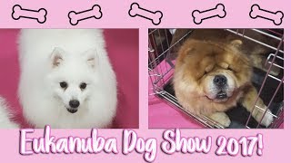 Eukanuba Discover Dogs Show 2017 [upl. by Leynwad]