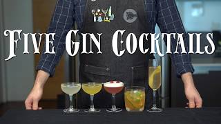 The 5 Easiest GIN Cocktails to Make at Home [upl. by Onitnevuj]