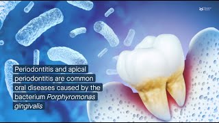 CXXC5 promotes cementogenesis protects against periodontitis by supporting mitochondria formation [upl. by Feeney861]