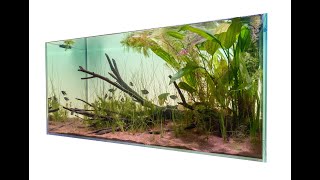 Pantanal Wetland amp Biotope Step by Step setup [upl. by Ynoffit]