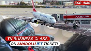 TRIP REPORT  TURKISH AIRLINES BUSINESS CLASS AnadoluJet Boeing B737800  Ankara  Amsterdam [upl. by Radmen]